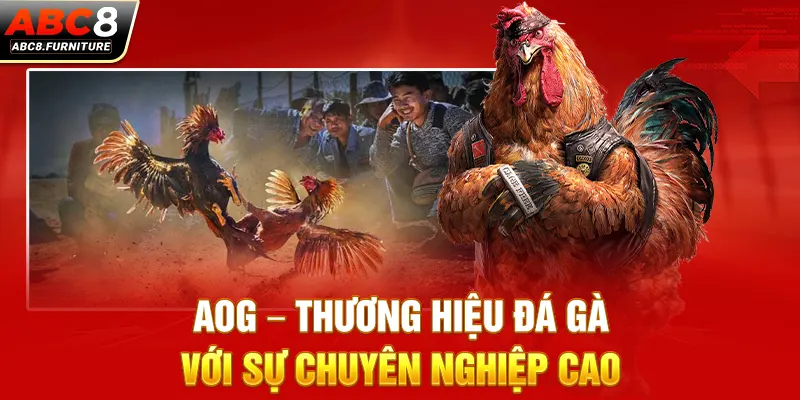 AOG – Thương hiệu đá gà với sự chuyên nghiệp cao AOG – Thương hiệu đá gà với sự chuyên nghiệp cao