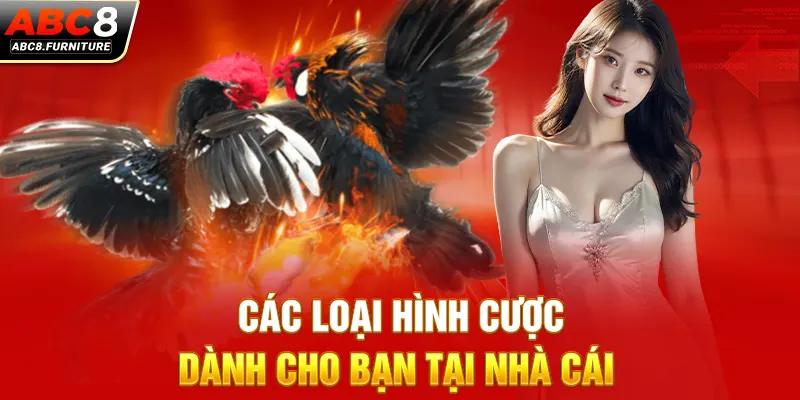 Các loại hình cược dành cho bạn tại nhà cái Các loại hình cược dành cho bạn tại nhà cái
