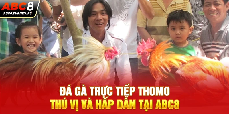 Đá gà trực tiếp Thomo thú vị và hấp dẫn tại ABC8 Đá gà trực tiếp Thomo thú vị và hấp dẫn tại ABC8