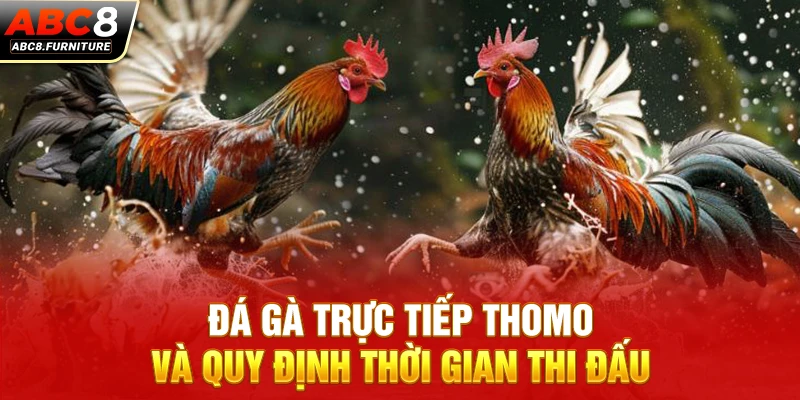Đá gà trực tiếp Thomo và quy định thời gian thi đấu Đá gà trực tiếp Thomo và quy định thời gian thi đấu