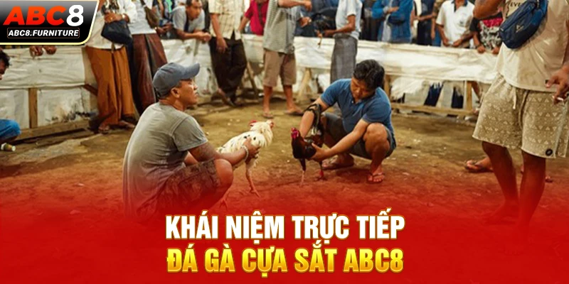 Khái niệm trực tiếp đá gà cựa sắt ABC8 Khái niệm trực tiếp đá gà cựa sắt ABC8