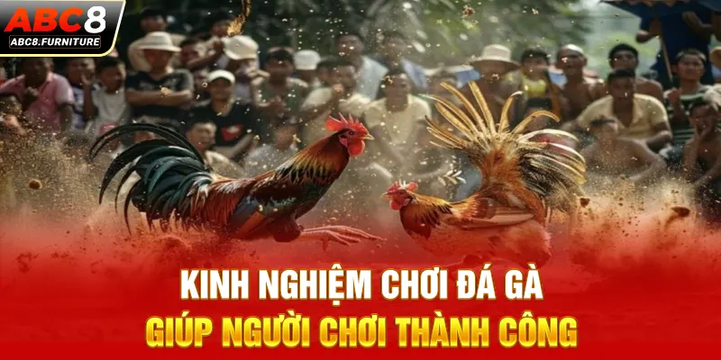 Kinh nghiệm chơi đá gà giúp người chơi thành công Kinh nghiệm chơi đá gà giúp người chơi thành công
