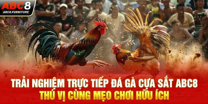 Trải nghiệm trực tiếp đá gà cựa sắt ABC8 thú vị cùng mẹo chơi hữu ích Trải nghiệm trực tiếp đá gà cựa sắt ABC8 thú vị cùng mẹo chơi hữu ích