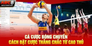 cá cược bóng chuyền