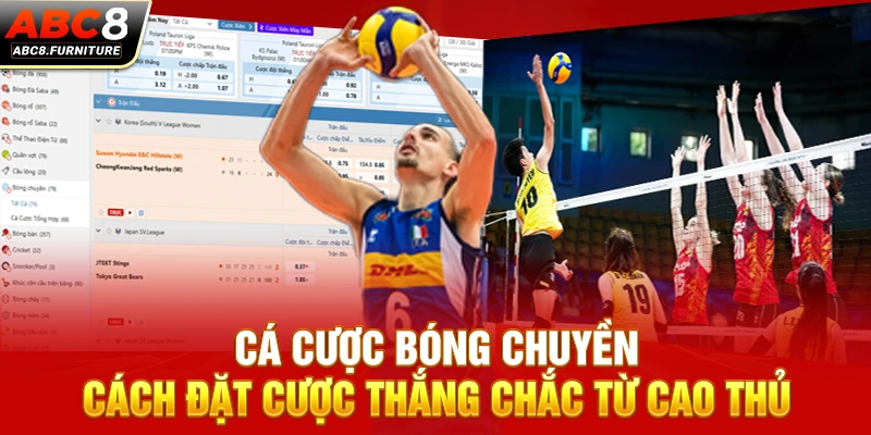 cá cược bóng chuyền